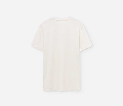 P4335100