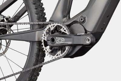 Moterra Neo Carbon SL 1 Cannondale 2024 Raw #6
